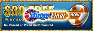 Bingo Liner
